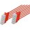 Cable de Red Digitus CAT6 U/UTP Slim 0.5m Rojo 10 Unidades