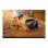 Cuffie Philips TAH5205BK/00 wireless e cablate Bluetooth per chiamate e musica nere