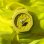 Montre Casio G-Shock GA-2100-9A9ER Unisexe Anti-Chocs et Étanche