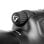 Binoculaire Vanguard Endeavor HD 65A Plata 15-45x