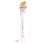 Recambio para Cepillo Philips Sonicare HX9092/87 Pack 2 Unidades Antiplaca Suave