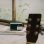 Radio Personnelle Sangean DDR-7X DAB+ FM Bluetooth 5.0 OLED Vert