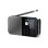 Radio Personnelle Sharp DR-P520 DAB+ FM Bluetooth 5.3 USB-C Gris