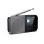 Radio Personnelle Sharp DR-P520 DAB+ FM Bluetooth 5.3 USB-C Gris