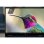 Laptop HP EliteBook X Flip G2i 14" Intel Core Ultra 7 356H 32GB 1TB SSD Intel Graphics Windows 11 Pro