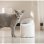 Bevitore Automatico per Animali Domestici CATLINK Pure 2 UV 2,6 L WiFi Silenzioso Universale