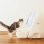 Rampa pour litière pour animaux CatLink CL-LBPS-01 Blanc Polypropylène