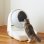 Rampa pour litière pour animaux CatLink CL-LBPS-01 Blanc Polypropylène
