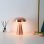 Lampada da scrivania LED Fungo Autrucker, controllo tattile tricolore, ricaricabile rosa dorato