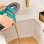 Aspirador de Estofos Cecotec Conga 6000 Carpet&Spot Clean XL Pro 600W 14 kPa