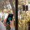 Robot limpiacristales Conga Windroid W50 Double Spray con app y mando