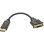 Adaptador de cable DisplayPort a DVI-D Lindy 41004 0,15 m Oro