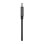 Adattatore DisplayPort a HDMI Belkin 0,22 m Nero