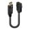 DisplayPort auf HDMI Adapterkabel Lindy 41005 0,15 m