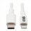 11086728