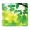 Alfombrilla para rato Fellowes Earth Series Verde 229 x 203 mm Base Antiderrapante