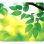 Alfombrilla para rato Fellowes Earth Series Verde 229 x 203 mm Base Antiderrapante