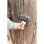 Abus Everox One Candado Electrónico Bluetooth 61/50 Mm Con Huella Digital, App Abus One, Ip66/ip68, Cuerpo Zamak, Grillete Nano Protect, Nivel 6