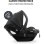 Siège Auto Hauck Drive N Care I-Size 0-13kg 40-87cm Noir Harnais 3 Points