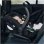 Siège Auto Hauck Drive N Care I-Size 0-13kg 40-87cm Noir Harnais 3 Points