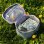 Monbento Frosty 5l Vert Raccoon - Bolsa Térmica Infantil Para Comida, Doble Cremallera, Asa Superior Y Bolsillo Interior Con Cremallera, Compatible Con Fiambrera Monbento