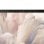 Portatile Dell Pro 14 Premium PA14250 14" Intel Core Ultra 7 268V 32GB 512GB SSD Arc Graphics 140V Windows 11 Pro