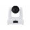 PTZ-Kamera AVer PTZ231 Full HD 1080p 60fps Zoom 30X