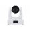PTZ-Kamera AVer PTZ231 Full HD 1080p 60fps Zoom 30X