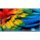 TV Philips LED 75HFL6214U 75" 4K UltraHD 50Hz Smart TV Android TV Senza HDR WiFi Hotel