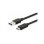 Cable USB 3.2 Gen 1 C à A Equip 0,25 m Noir
