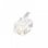 Conector RJ-11 4P4C Transparente EQUIP 121111 Kit 100 Unidades