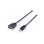 DisplayPort auf DVI-D Kabel EQUIP 119336 2 m