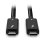 Cabo Thunderbolt 4 Lindy 2 m 40 Gbit/s Preto