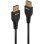 Cabo DisplayPort 1.4 Lindy 2 m Preto