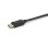 Cable DisplayPort macho a VGA macho EQUIP 119338 2 m