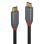 Cable USB C a USB C Lindy 3 m USB 3.2 Gen 2 10 Gbit/s Negro