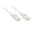 Netzwerkkabel Lindy Cat6 2 m U/UTP RJ-45 Stecker an Stecker weiß
