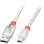 Cable USB Lindy 2 m USB A a Mini-USB B USB 2.0 Transparente