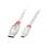 Cable USB Lindy 2 m USB A a Mini-USB B USB 2.0 Transparente