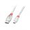 Cable USB Lindy 2 m USB A a Mini-USB B USB 2.0 Transparente