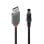 Lindy USB-Kabel 1,5 m USB 2.0 A zu DC Schwarz
