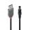 Lindy USB-Kabel 1,5 m USB 2.0 A zu DC Schwarz