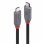 Cable USB4 Lindy 2 m USB-C à USB-C 40 Gbit/s Noir