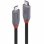 Cable USB4 Lindy 2 m USB-C à USB-C 40 Gbit/s Noir