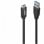 Cable USB Lindy 36972 1,5 m USB A vers USB C 3.2 Gen 2 10 Gbit/s Noir