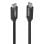 Cable USB-C à USB-C Lindy 36975 0,5 m USB 3.2 Gen 2x2 20 Gbit/s Noir