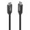 Cable USB-C à USB-C Lindy 36975 0,5 m USB 3.2 Gen 2x2 20 Gbit/s Noir