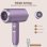 Sèche-cheveux Ionique Professionnel Dam Electronics 2400W 3 Températures 2 Vitesses Violet
