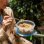 Hermetischer Behälter Super Lock Rund 1,7 L SP Berner Blau Durchsichtig
