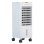 Climatizador portátil Olimpia Splendid Peler 4T Monobloc 60W 4L
